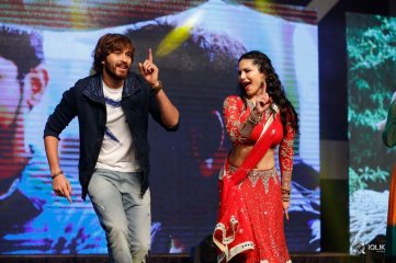 Rogue Movie Audio Launch